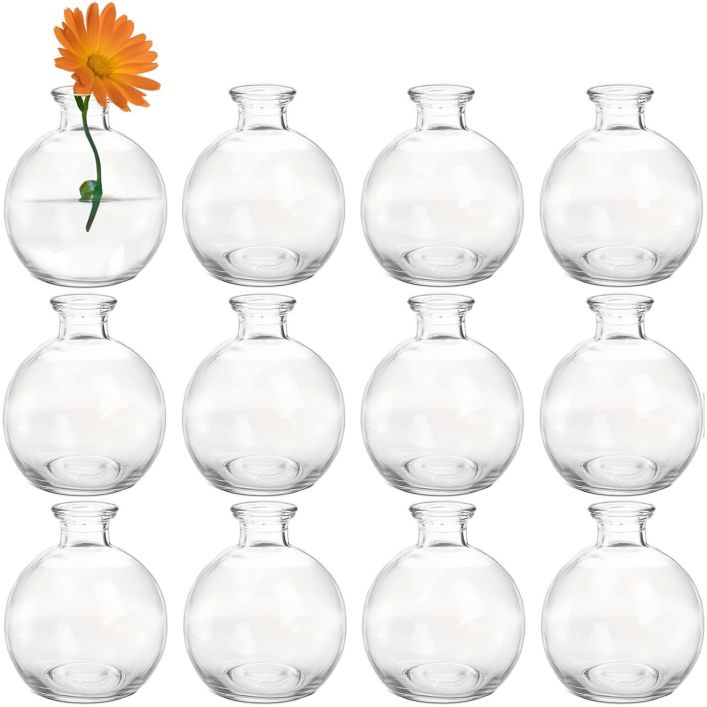 12pcs Small Glass Ball Bud Vases – Unique Mini Vases for Floral Arrangements & Weddings!