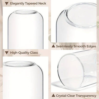 Set of 12 Round Glass Vases – Transparent & Versatile